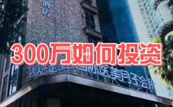 300万投资项目加盟，如何确保回报？