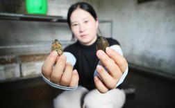 夏天投资哪个项目真能致富？