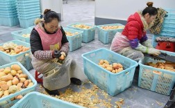 小规模办厂，什么项目最稳、最赚钱？