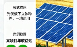 2025农村投资好项目