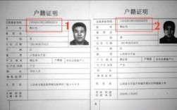 山西身份证姓名大全是否涉及隐私违法？