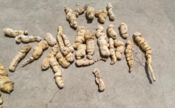 山西侯马有哪些特色特产？