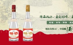 潞酒有何独特魅力？