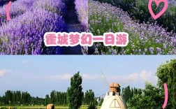 山西薰衣草庄园具体位置在哪？