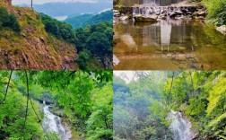 庐山西海一日游费用多少？