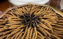 0元创业真有商机？还是噱头？