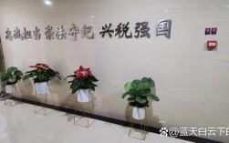 开盆栽店要投资多少钱？