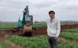 农村投资项目如何选？风险收益怎么平衡？