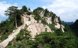 山西关帝山国家森林公园有何独特魅力？