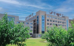 广州柏文投资发展有限公司是做什么的？