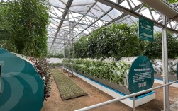 无土栽培设备投资成本是多少？