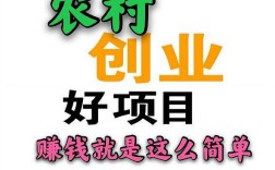 当下小本赚钱项目，哪个真正靠谱？