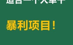 去年零元投资真能致富？项目靠什么盈利？