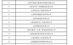 2012山西名单公示七，具体内容与标准是什么？