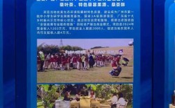 农村个人创业，哪些项目靠谱？