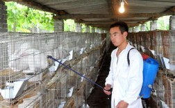 农村小本钱投资，哪些项目靠谱能赚钱？