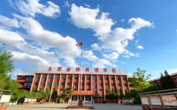 山西金桥双语校医招聘有何要求？