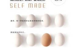 当前投资方向该怎么选？