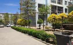 恒安新区是山西大同的什么类型区域？