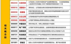 去年投资热门创业项目