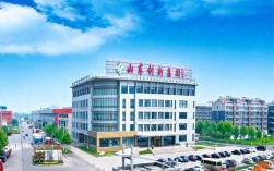 山东拜登投资有限公司是正规企业吗？