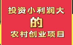 投资来年小本致富加盟