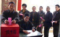 山西2025年选聘村官有何新变化？