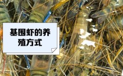 基围虾养殖要投资多少