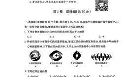 2025山西特岗数学考什么？