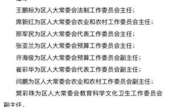 山西年轻干部政策有何新动向？
