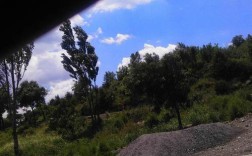 山西长治沁源天气如何？