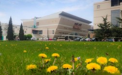 山西大学、北京、上海有何关联？