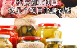 农村养殖小投资创业项目