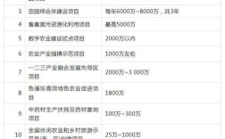 2025农村投资项目有哪些方向值得关注？