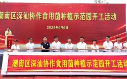 蘑菇工厂投资要多少？