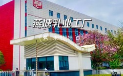 山西维多多食品有限公司有何特色？