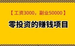 零元投资真能赚钱？还是陷阱？