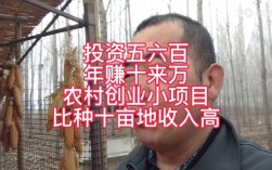 如今哪些投资项目能快速致富？