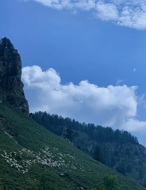 芦芽山风景区怎么玩？攻略有哪些必打卡？-图2