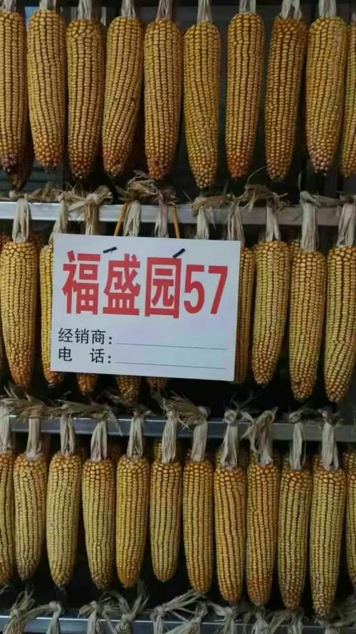 山西福盛园科技发展有限公司有何核心业务优势？-图1