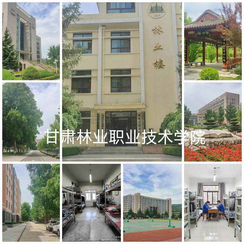山西林业职业技术学院到底好不好？-图3