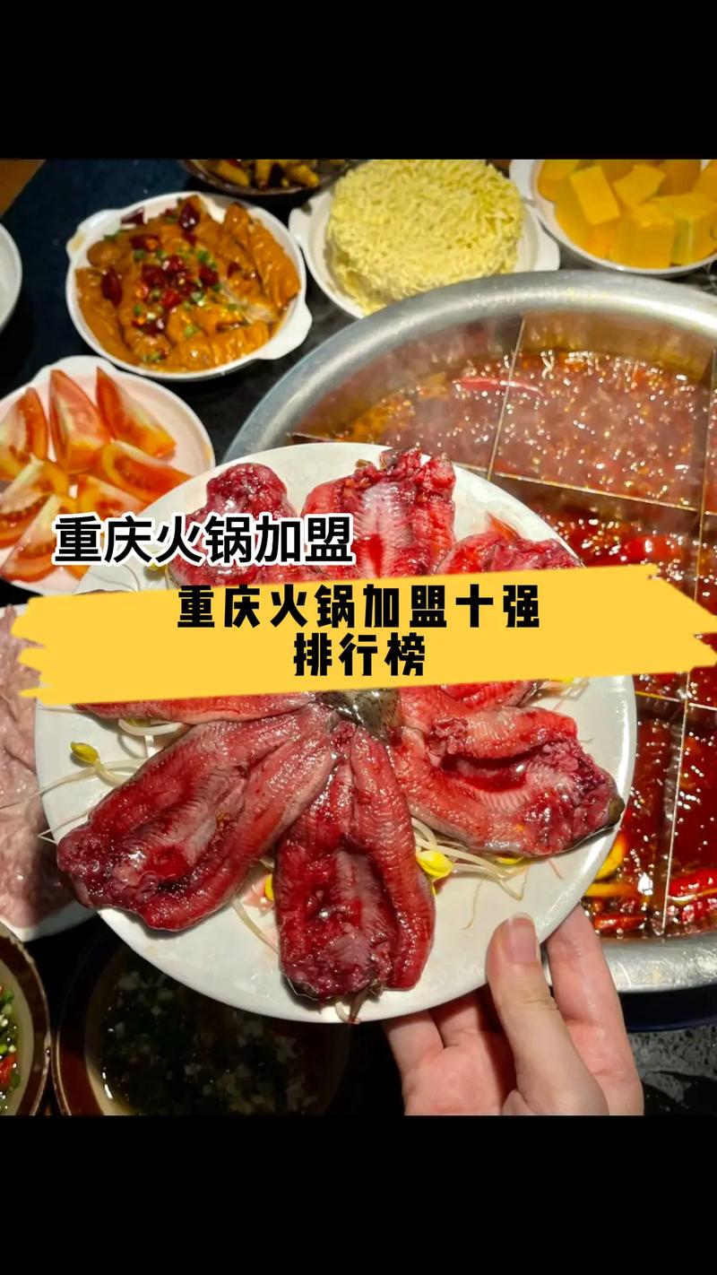 重庆火锅加盟投资要多少钱?-图1 重庆火锅加盟投资要多少钱?-图1