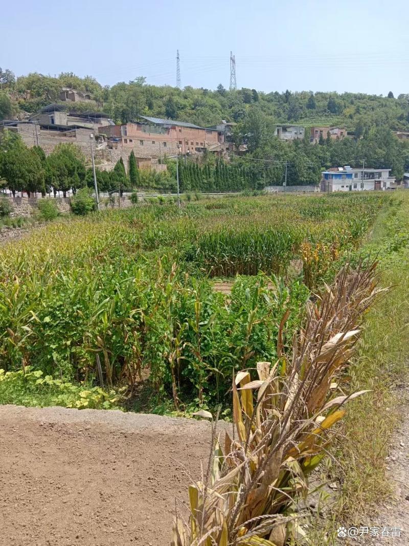 山西晋城阳城凤城镇有何特色或故事？-图3