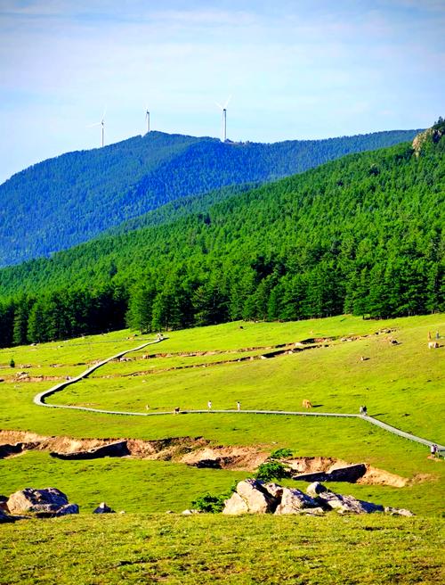 山西云顶山门票多少钱?-图1 山西云顶山门票多少钱?-图1