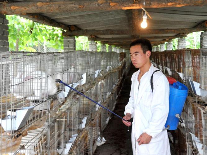 农村小本钱投资,哪些项目靠谱能赚钱?-图1 农村小本钱投资,哪些项目靠谱能赚钱?-图1