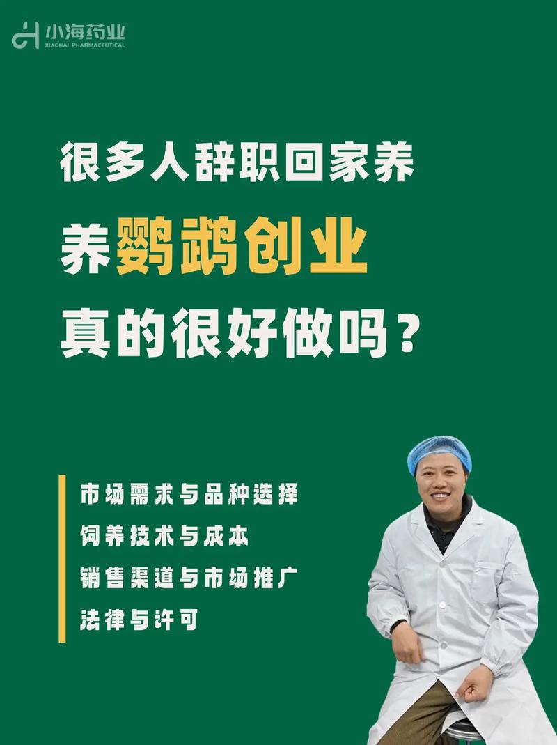 回家创业投什么项目靠谱又稳？-图1