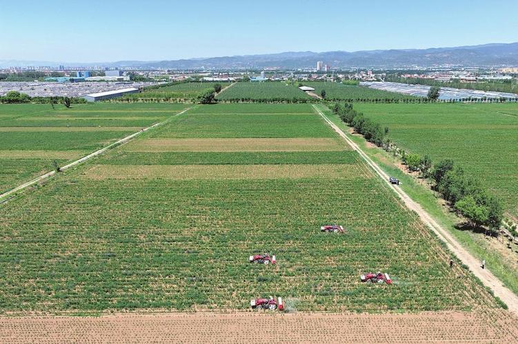 山西省太原市小店区北格镇-图3