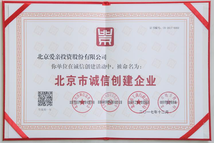 北京爱亲投资股份有限公司有何业务优势？-图1