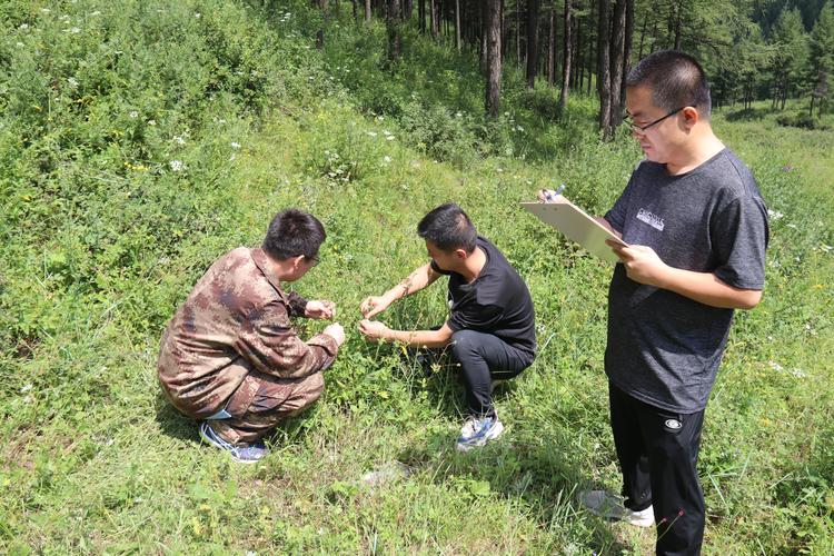 山西省黑茶山森林经营局有何特殊使命？-图1