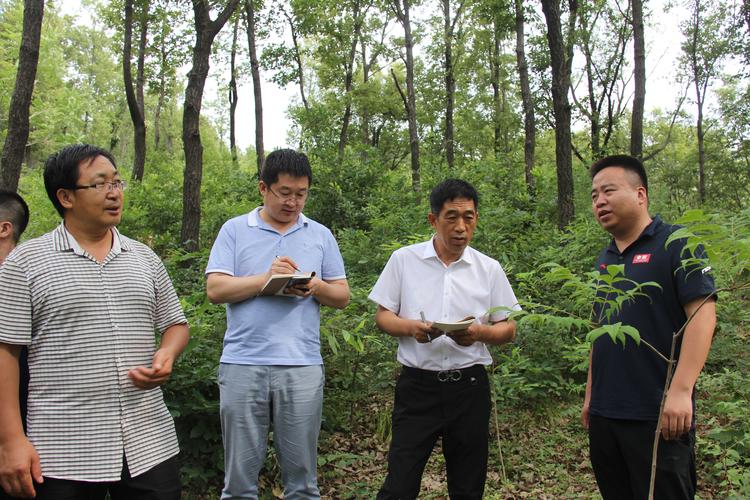 山西省黑茶山森林经营局有何特殊使命？-图2